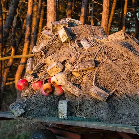 Mit Seeblick Und Balkon Apartment *